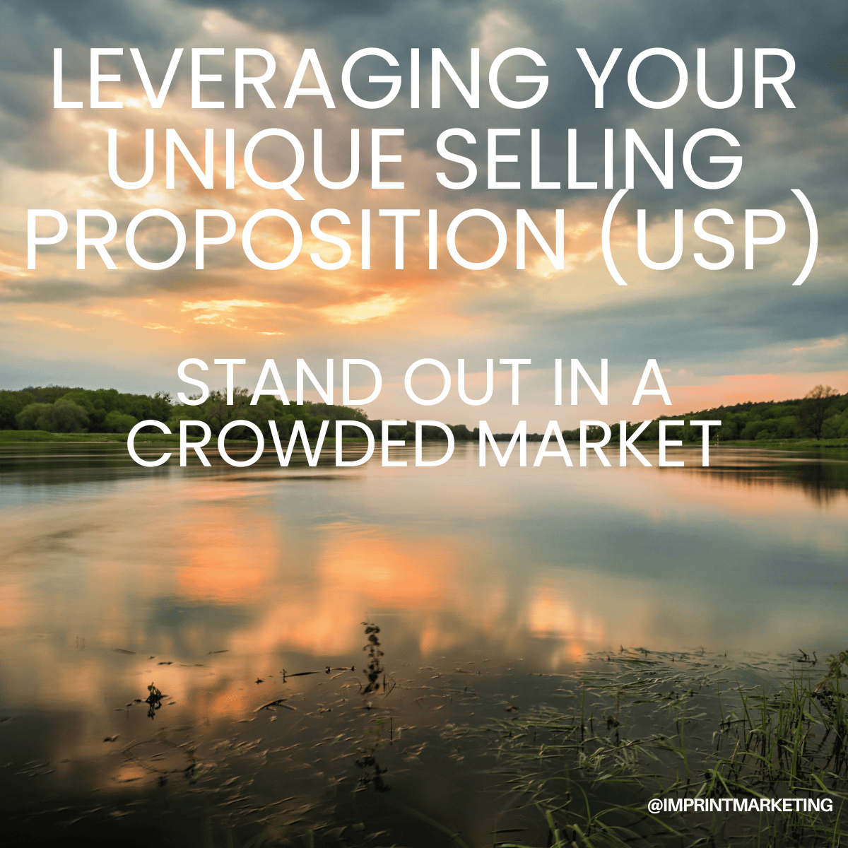 Leveraging Your Unique Selling Proposition